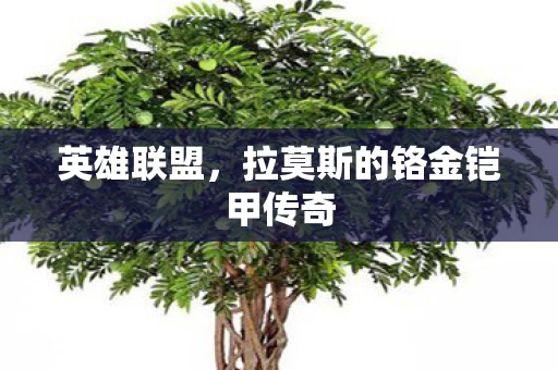 拉莫斯的铬金铠甲传奇图片