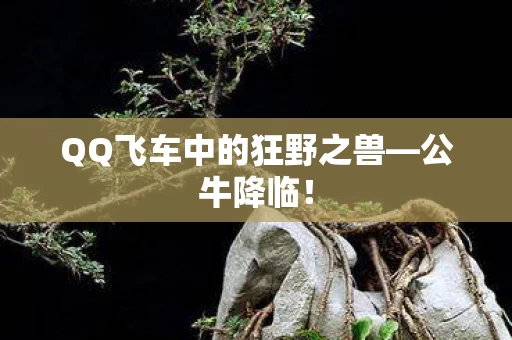 QQ飞车中的狂野之兽图片