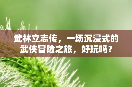 一场沉浸式的武侠冒险之旅图片