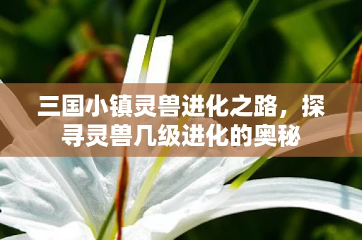 探寻灵兽几级进化的奥秘图片
