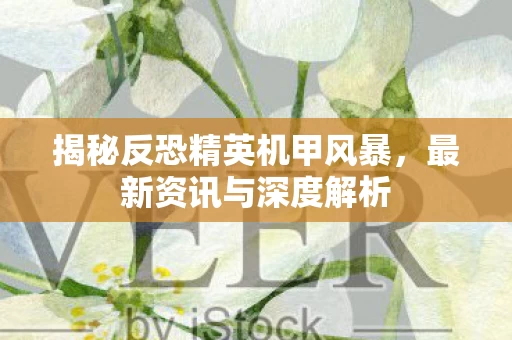 揭秘反恐精英机甲风暴图片