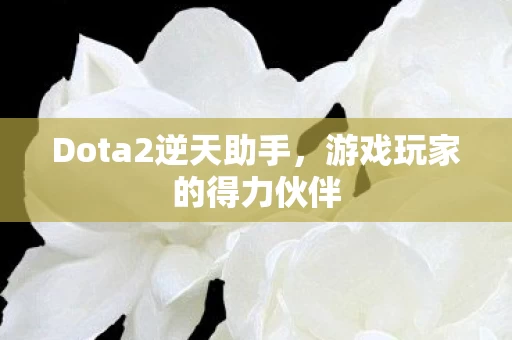 Dota2逆天助手图片