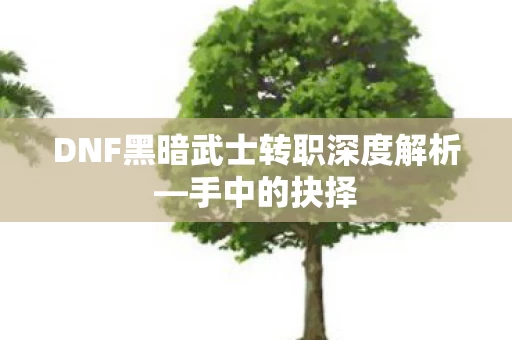 DNF黑暗武士转职深度解析图片