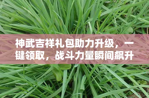 神武吉祥礼包助力升级图片