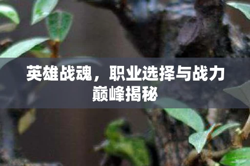 职业选择与战力巅峰揭秘图片