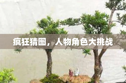 人物角色大挑战图片
