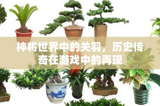 历史传奇在游戏中的再现图片
