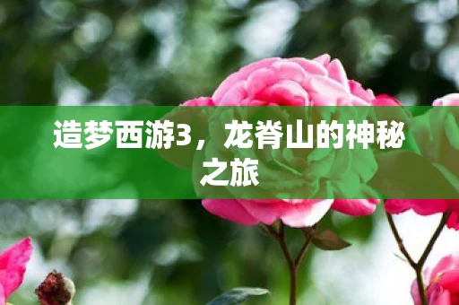 龙脊山的神秘之旅图片