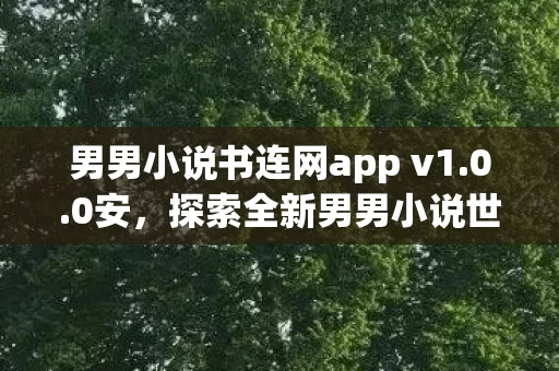 男男小说书连网app v1图片