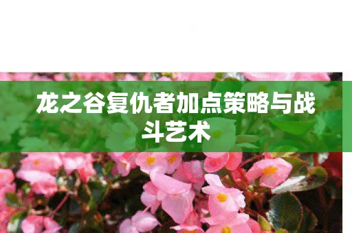 龙之谷复仇者加点策略与战斗艺术图片