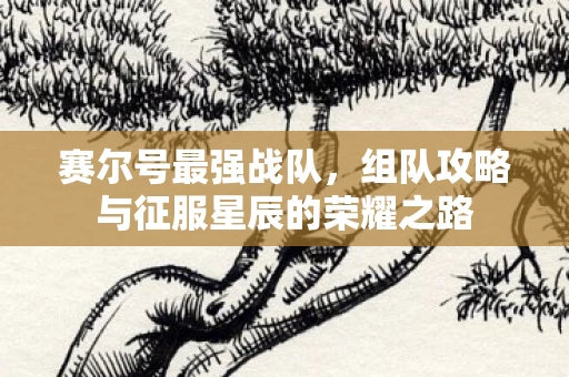 组队攻略与征服星辰的荣耀之路图片