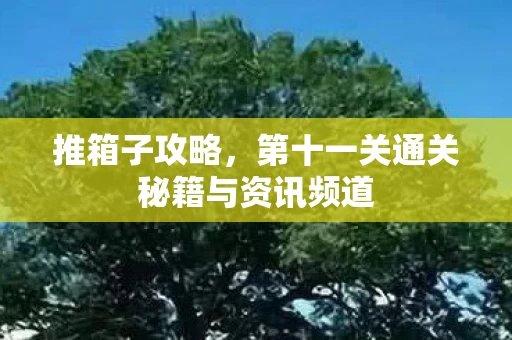 第十一关通关秘籍与资讯频道图片