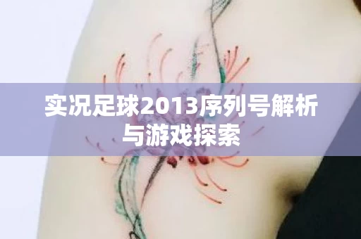 实况足球2013序列号解析与游戏探索图片