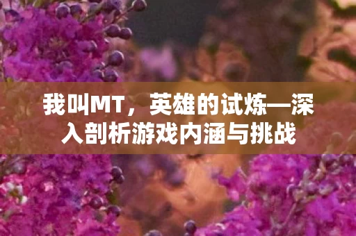 深入剖析游戏内涵与挑战图片