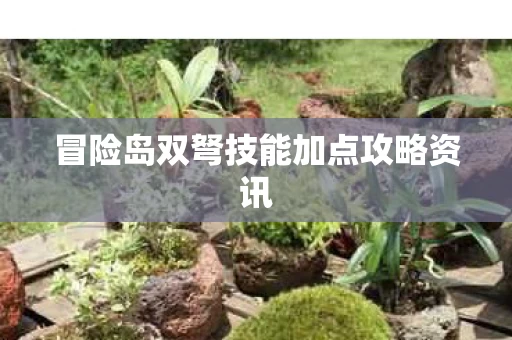 冒险岛双弩技能加点攻略资讯图片