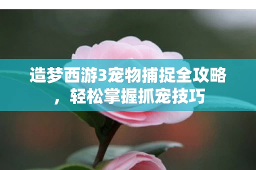 造梦西游3宠物捕捉全攻略图片