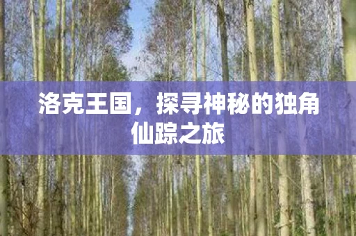 探寻神秘的独角仙踪之旅图片