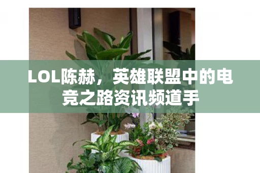 英雄联盟中的电竞之路资讯频道手图片