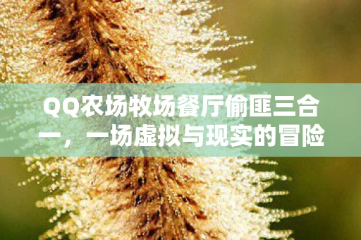 QQ农场牧场餐厅偷匪三合一图片