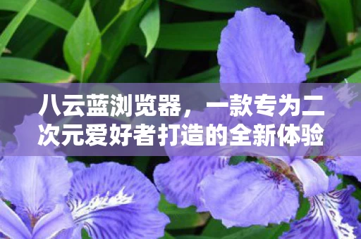 一款专为二次元爱好者打造的全新体验图片