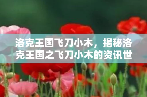 揭秘洛克王国之飞刀小木的资讯世界图片
