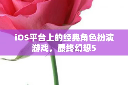 iOS平台上的经典角色扮演游戏图片