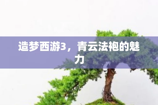 青云法袍的魅力图片