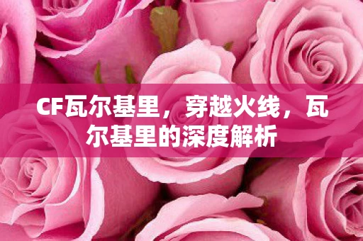 瓦尔基里的深度解析图片