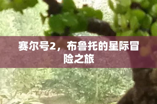 布鲁托的星际冒险之旅图片