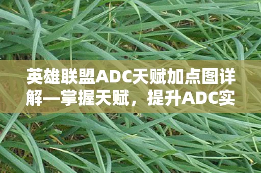 英雄联盟ADC天赋加点图详解图片