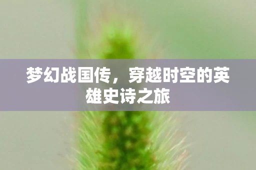 穿越时空的英雄史诗之旅图片
