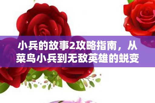 从菜鸟小兵到无敌英雄的蜕变之路图片