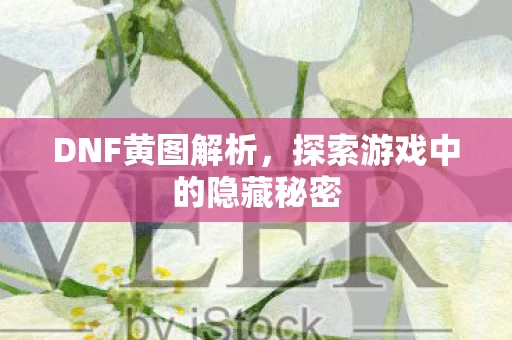 探索游戏中的隐藏秘密图片