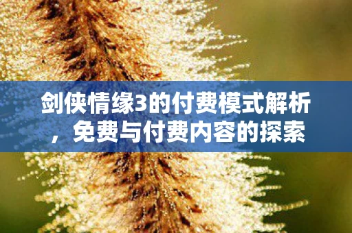 剑侠情缘3的付费模式解析图片