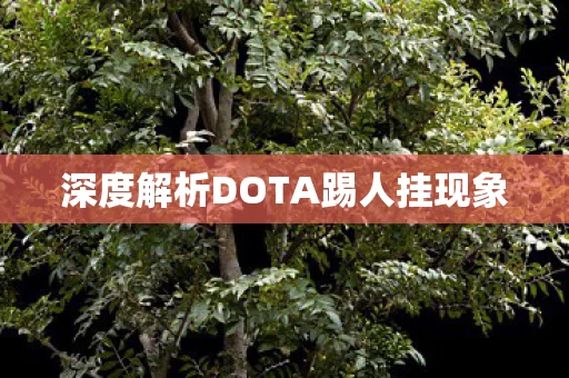 深度解析DOTA踢人挂现象图片