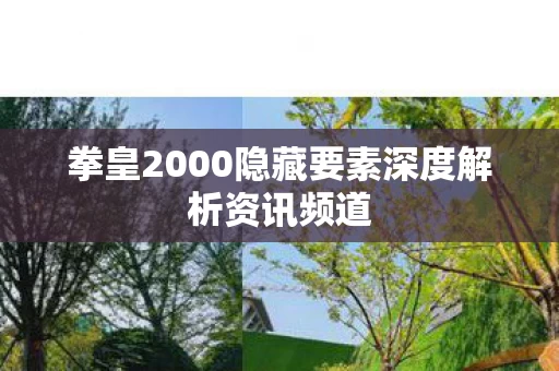 拳皇2000隐藏要素深度解析资讯频道图片