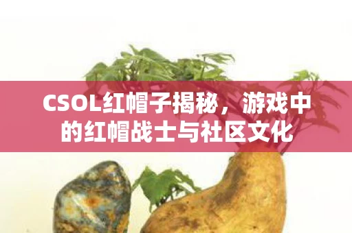游戏中的红帽战士与社区文化图片
