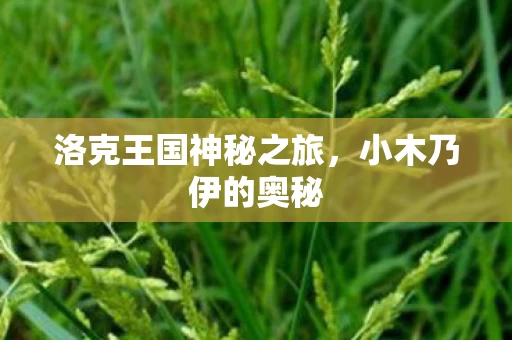 洛克王国神秘之旅图片