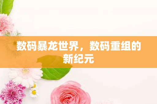 数码重组的新纪元图片