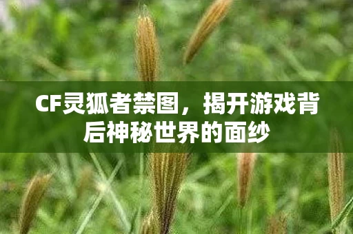揭开游戏背后神秘世界的面纱图片