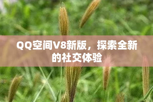 探索全新的社交体验图片