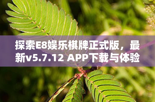 探索E8娱乐棋牌正式版图片