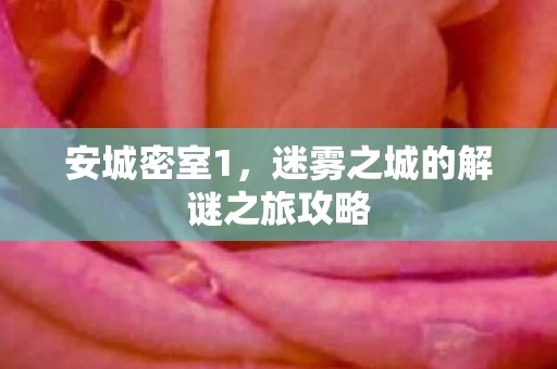 迷雾之城的解谜之旅攻略图片