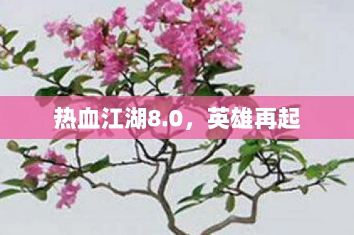 热血江湖8图片