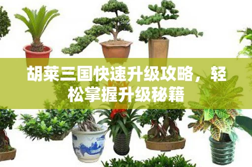 胡莱三国快速升级攻略图片