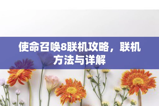使命召唤8联机攻略图片