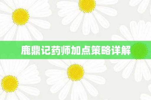 鹿鼎记药师加点策略详解图片