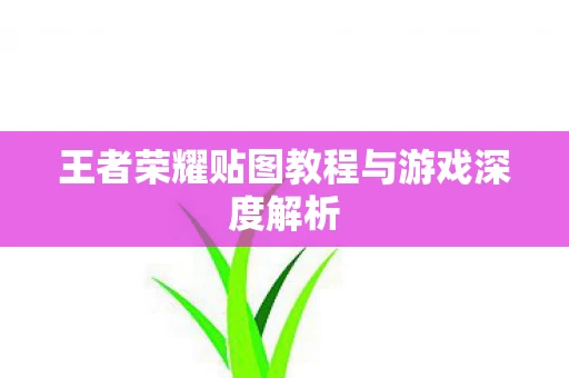 王者荣耀贴图教程与游戏深度解析图片