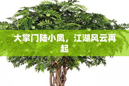 大掌门陆小凤图片