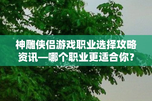 神雕侠侣游戏职业选择攻略资讯图片